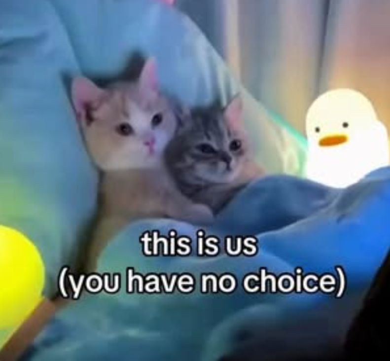 this is us (you have no choice)