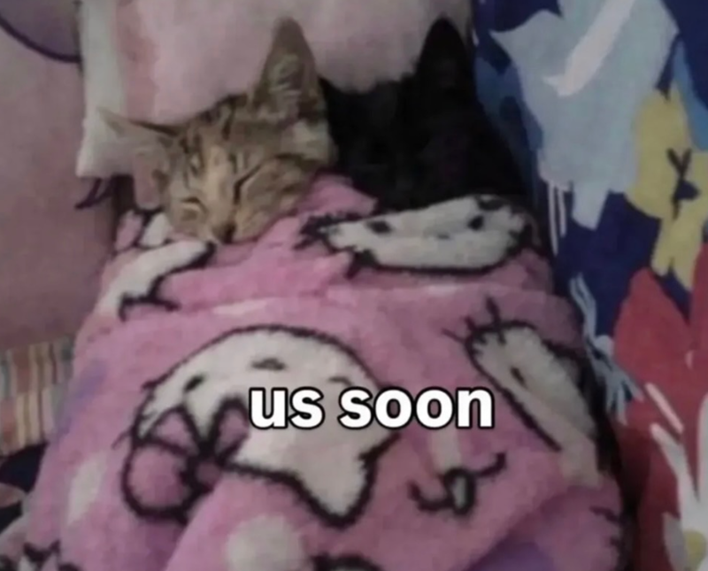 us soon