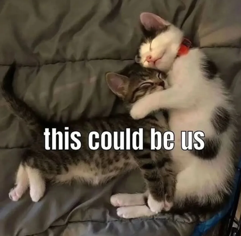 this could be us