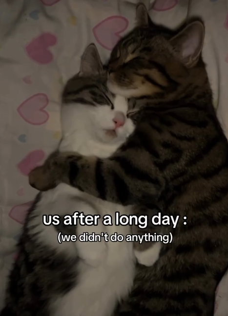 3 us after a long day: (we didn't do anything)