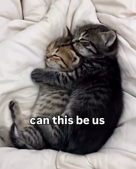 can this be us