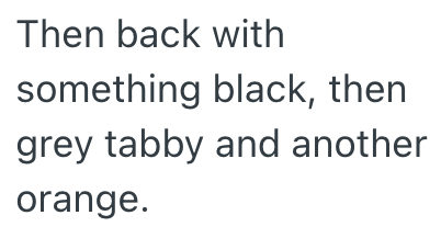 Then back with something black, then grey tabby and another orange.