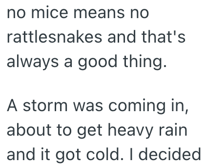 no mice means no rattlesnakes and that's always a good thing. A storm was coming in, about to get heavy rain and it got cold. I decided