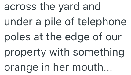 across the yard and under a pile of telephone poles at the edge of our property with something orange in her mouth...