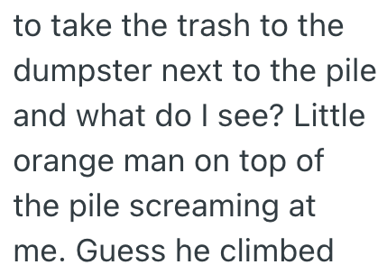 to take the trash to the dumpster next to the pile and what do I see? Little orange man on top of the pile screaming at me. Guess he climbed