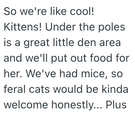 So we're like cool! Kittens! Under the poles is a great little den area and we'll put out food for her. We've had mice, so feral cats would be kinda welcome honestly... Plus