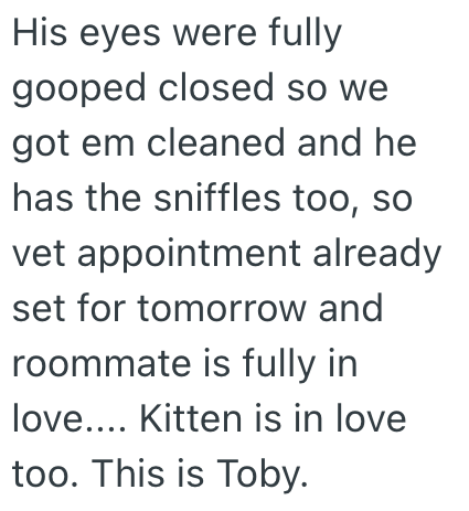 His eyes were fully gooped closed so we got em cleaned and he has the sniffles too, so vet appointment already set for tomorrow and roommate is fully in love.... Kitten is in love too. This is Toby.