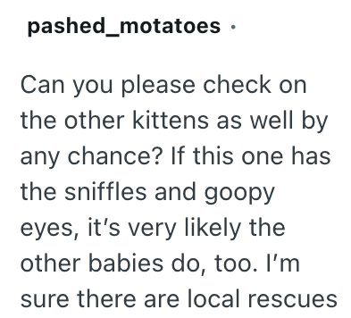 pashed_motatoes ⚫ Can you please check on the other kittens as well by any chance? If this one has the sniffles and goopy eyes, it's very likely the other babies do, too. I'm sure there are local rescues