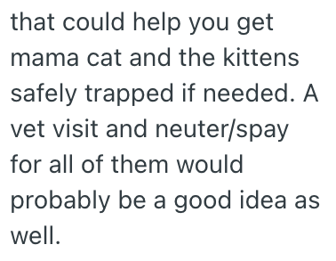 that could help you get mama cat and the kittens safely trapped if needed. A vet visit and neuter/spay for all of them would probably be a good idea as well.