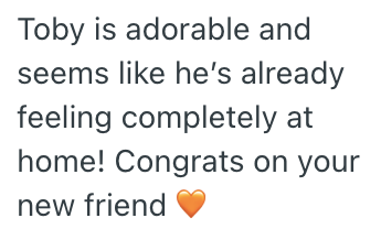 Toby is adorable and seems like he's already feeling completely at home! Congrats on your new friend
