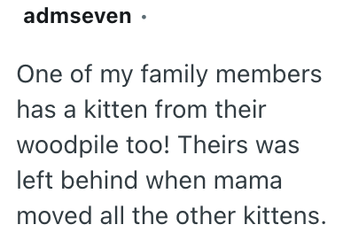 admseven ⚫ One of my family members has a kitten from their woodpile too! Theirs was left behind when mama moved all the other kittens.