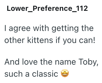 Lower_Preference_112 I agree with getting the other kittens if you can! And love the name Toby, such a classic ✔