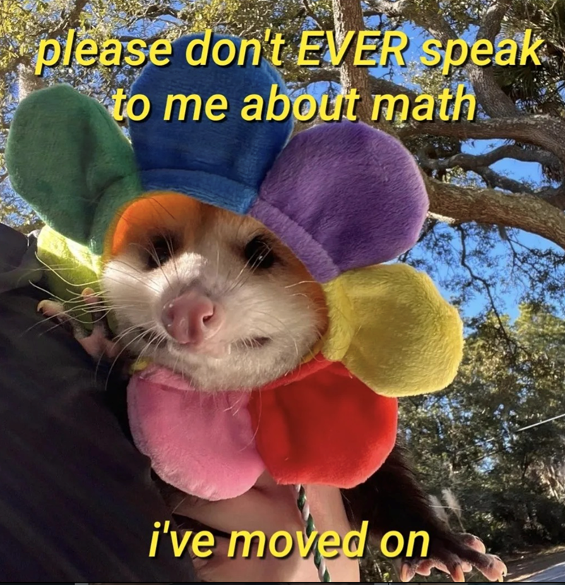 please don't EVER speak to me about math i've moved on