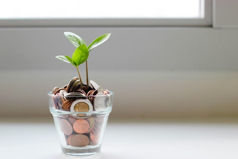 Green plant growing in glass cup full of coins