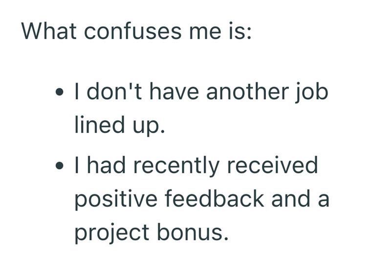 What confuses me is: • I don't have another job lined up. • I had recently received . positive feedback and a project bonus.