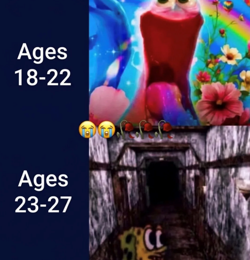 Ages 18-22 Ages 23-27