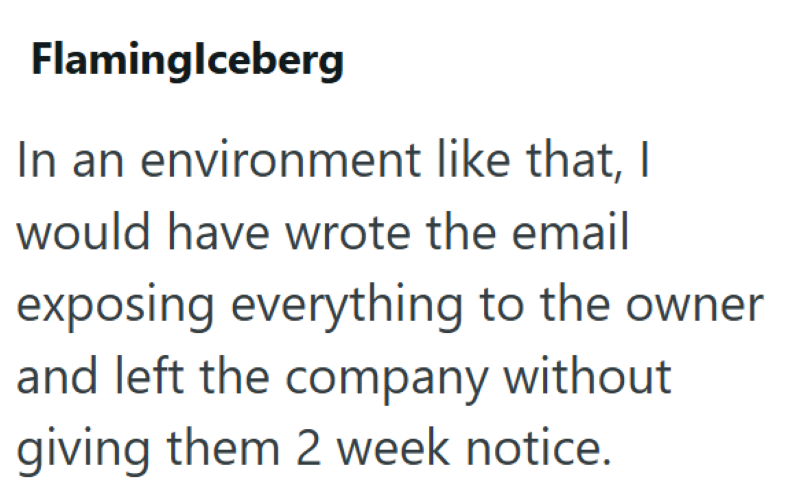 Flaminglceberg In an environment like that, I would have wrote the email exposing everything to the owner and left the company without giving them 2 week notice.