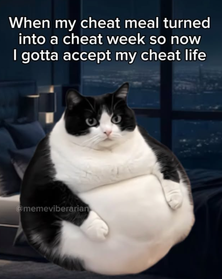 When my cheat meal turned into a cheat week so now I gotta accept my cheat life @memeviberarian