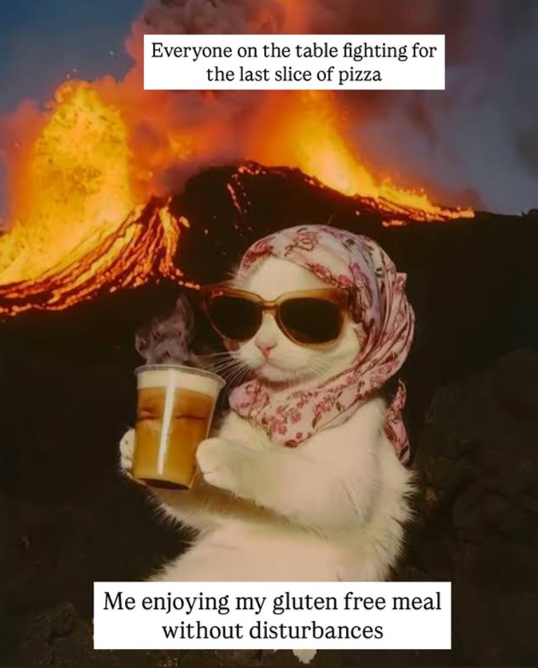 Everyone on the table fighting for the last slice of pizza Me enjoying my gluten free meal without disturbances