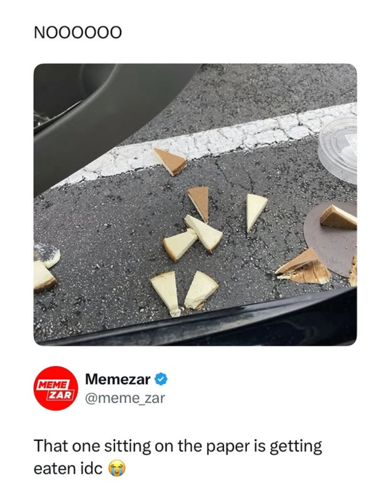 NOOOOOO MEME Memezar ZAR @meme_zar That one sitting on the paper is getting eaten idc