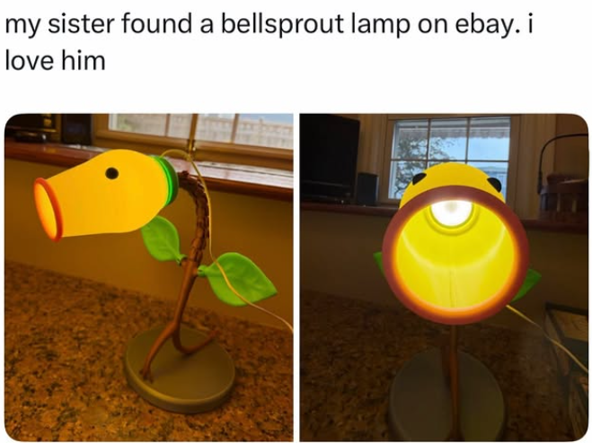 my sister found a bellsprout lamp on ebay. i love him