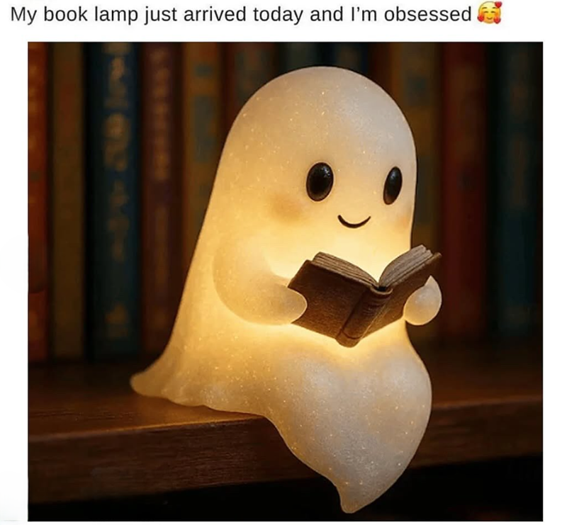 My book lamp just arrived today and I'm obsessed