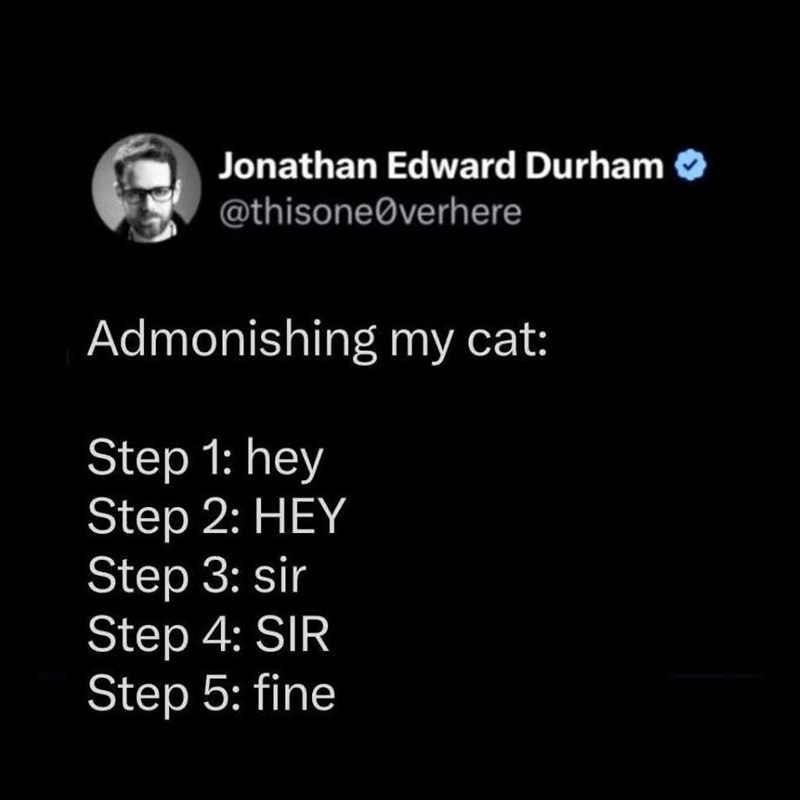 Jonathan Edward Durham @thisoneØverhere Admonishing my cat: Step 1: hey Step 2: HEY Step 3: sir Step 4: SIR Step 5: fine