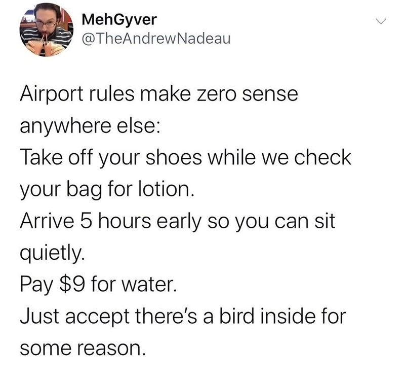 MehGyver @TheAndrewNadeau Airport rules make zero sense anywhere else: Take off your shoes while we check your bag for lotion. Arrive 5 hours early so you can sit quietly. Pay $9 for water. Just accept there's a bird inside for some reason.