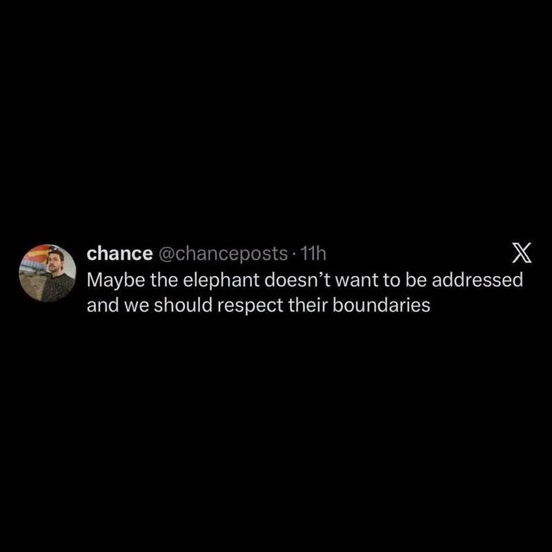 chance @chanceposts 11h X Maybe the elephant doesn't want to be addressed and we should respect their boundaries