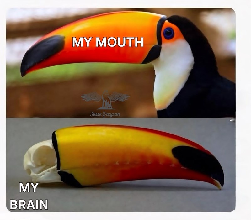 MY BRAIN MY MOUTH Jesse Greyson