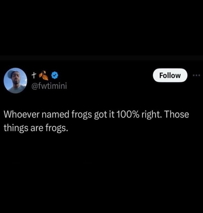+ @fwtimini Follow Whoever named frogs got it 100% right. Those things are frogs.