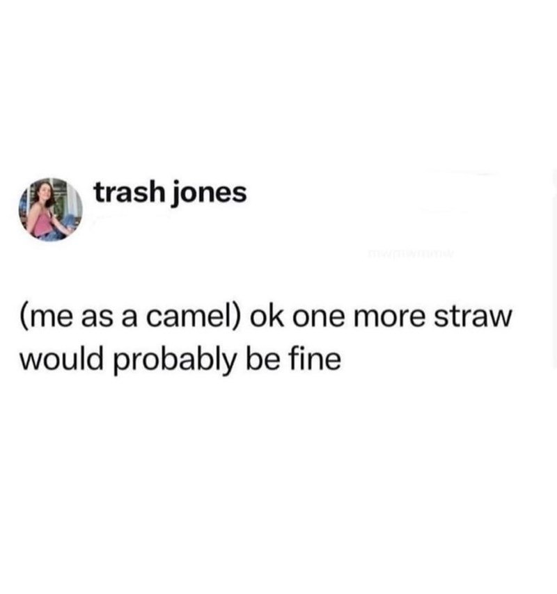trash jones (me as a camel) ok one more straw would probably be fine.