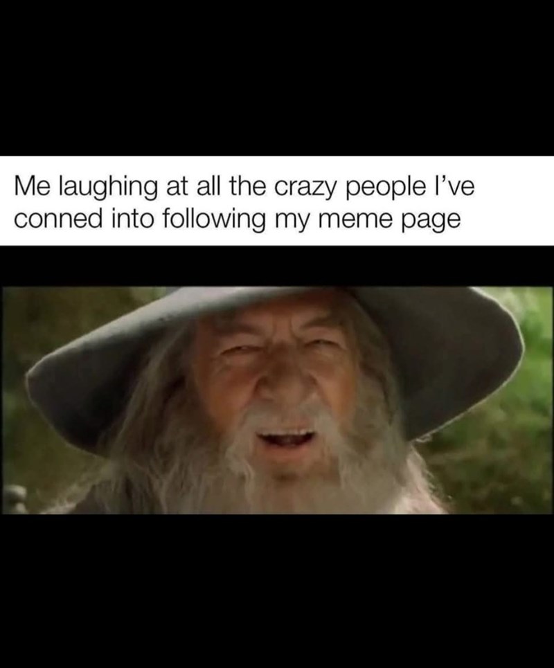 Me laughing at all the crazy people I've conned into following my meme page