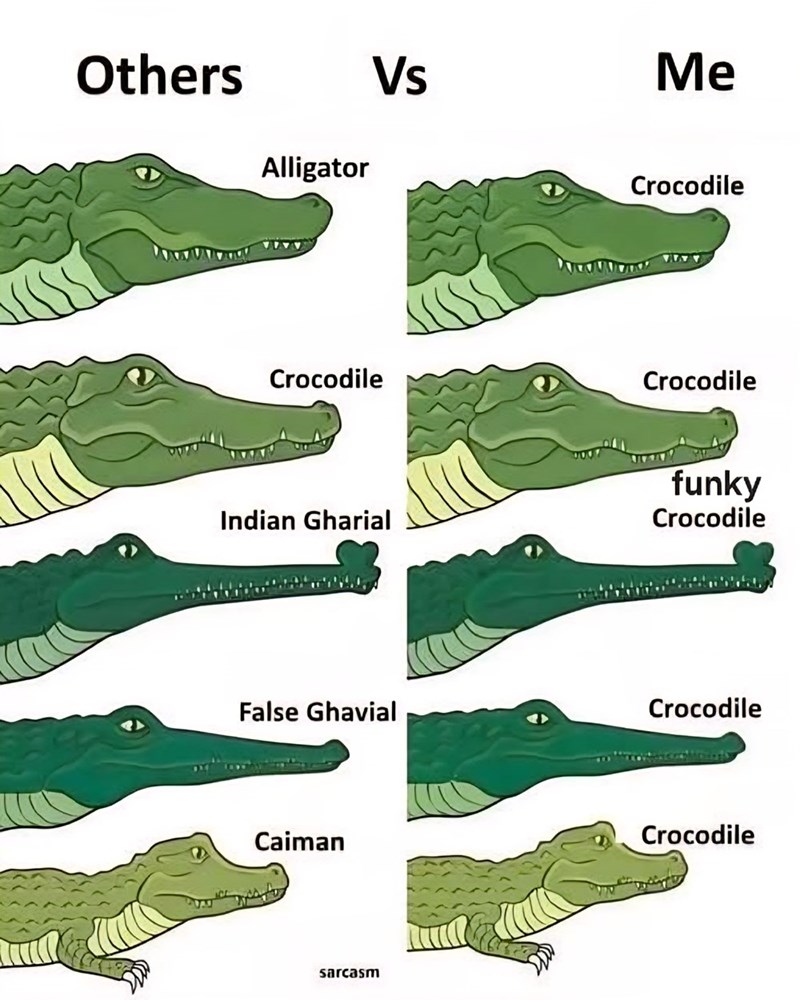 Others Alligator Vs Me Crocodile VAAY Crocodile Crocodile Indian Gharial funky Crocodile False Ghavial Crocodile Caiman sarcasm Crocodile