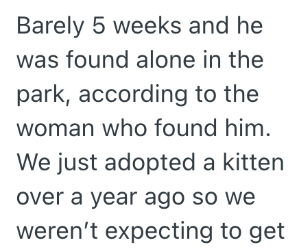 Barely 5 weeks and he was found alone in the park, according to the woman who found him. We just adopted a kitten over a year ago so we weren't expecting to get