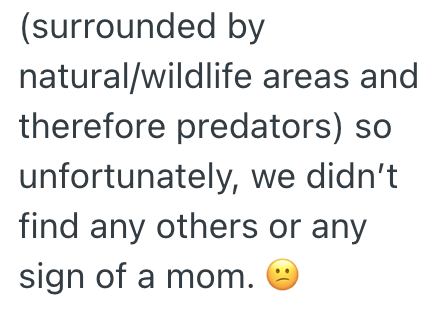 (surrounded by natural/wildlife areas and therefore predators) so unfortunately, we didn't find any others or any sign of a mom.
