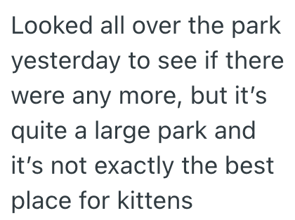 Looked all over the park yesterday to see if there were any more, but it's quite a large park and it's not exactly the best place for kittens