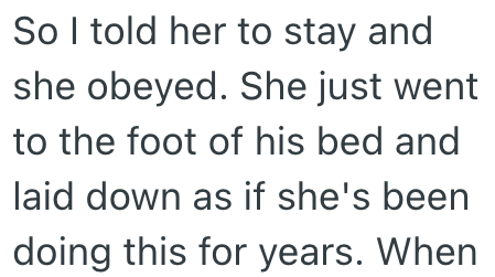 So I told her to stay and she obeyed. She just went to the foot of his bed and laid down as if she's been doing this for years. When