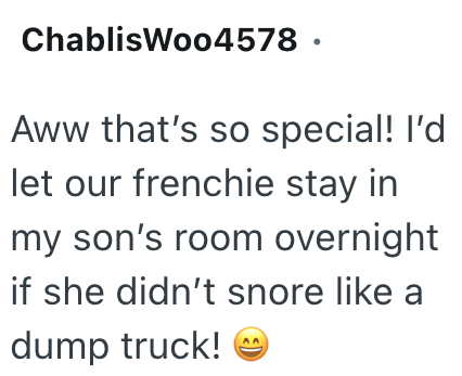 ChablisWoo4578. Aww that's so special! I'd let our frenchie stay in my son's room overnight if she didn't snore like a dump truck! →