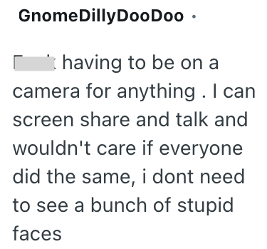 GnomeDilly DooDoo • having to be on a camera for anything. I can screen share and talk and wouldn't care if everyone did the same, i dont need to see a bunch of stupid faces