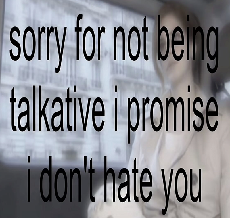 sorry for not being talkative i promise i don't hate you