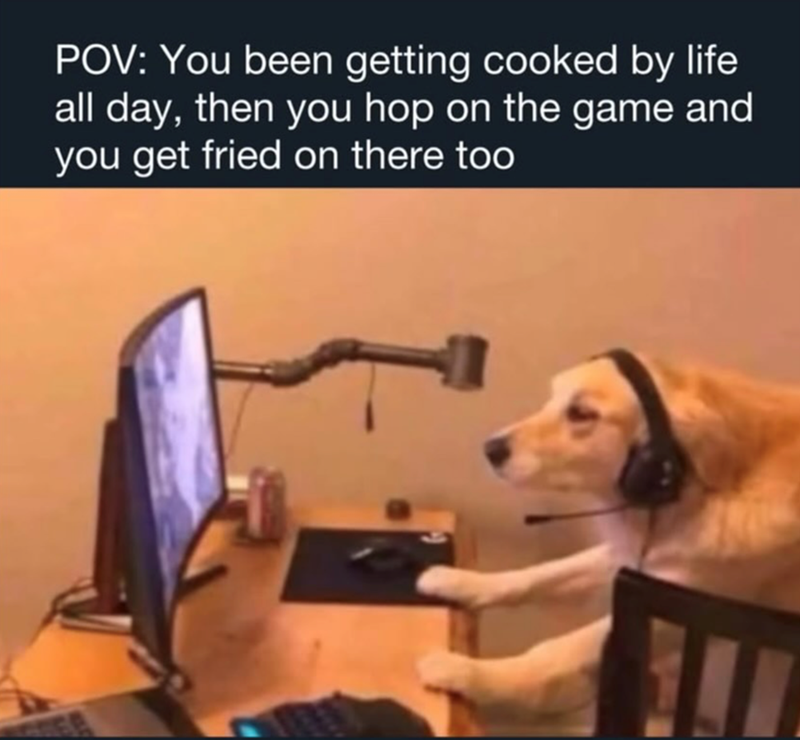 POV: You been getting cooked by life all day, then you hop on the game and you get fried on there too