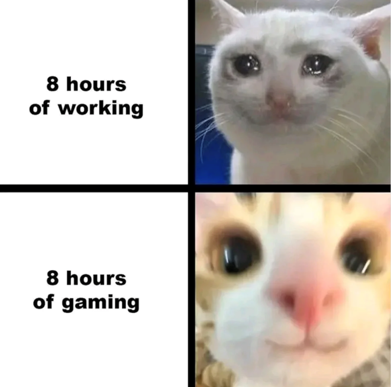 8 hours of working 8 hours of gaming