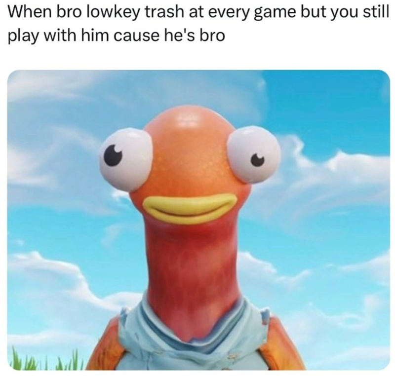 When bro lowkey trash at every game but you still play with him cause he's bro