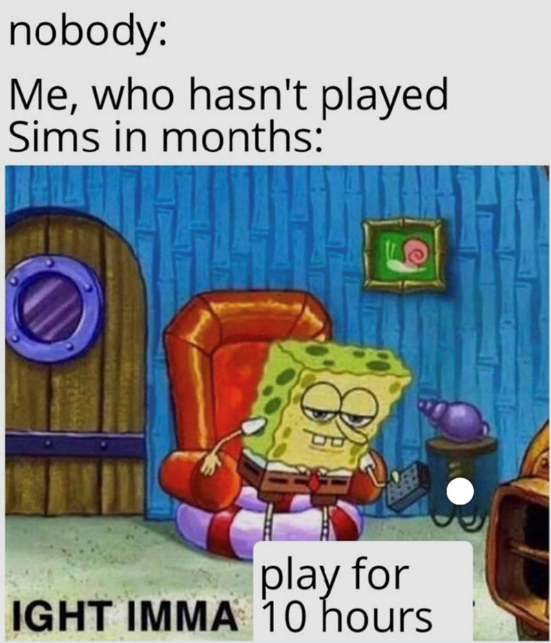 nobody: Me, who hasn't played Sims in months: play for IGHT IMMA 10 hours