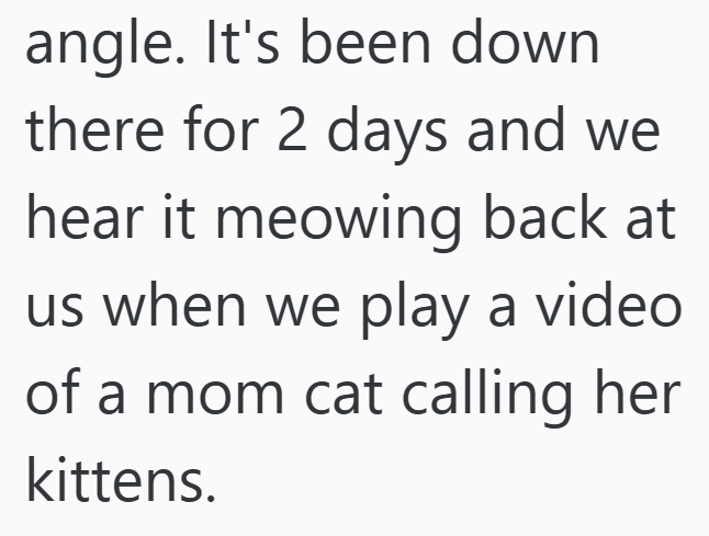 angle. It's been down there for 2 days and we hear it meowing back at us when we play a video of a mom cat calling her kittens.