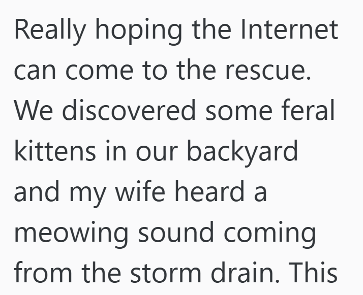 Really hoping the Internet can come to the rescue. We discovered some feral kittens in our backyard and my wife heard a meowing sound coming from the storm drain. This