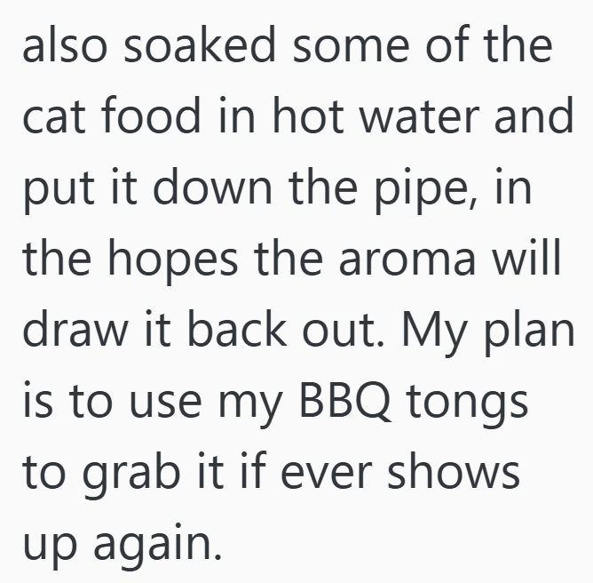 also soaked some of the cat food in hot water and put it down the pipe, in the hopes the aroma will draw it back out. My plan is to use my BBQ tongs to grab it if ever shows up again.