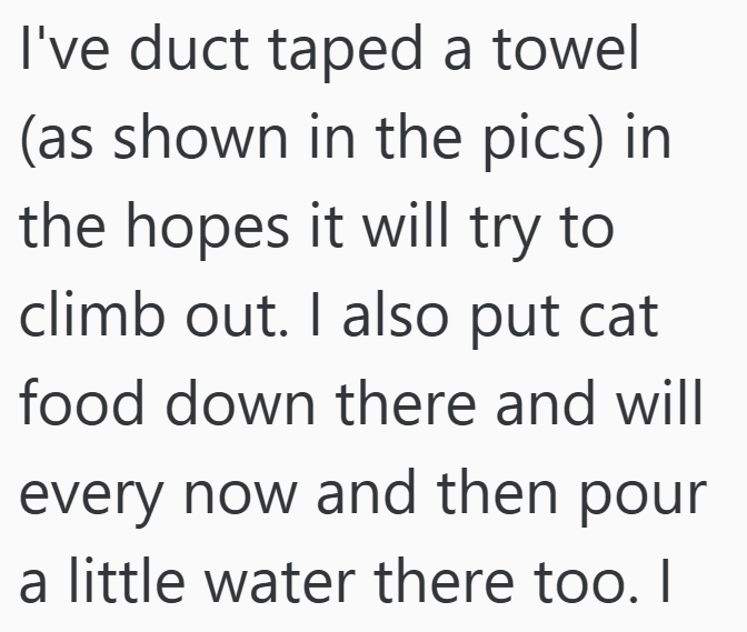 I've duct taped a towel (as shown in the pics) in the hopes it will try to climb out. I also put cat food down there and will every now and then pour a little water there too. I