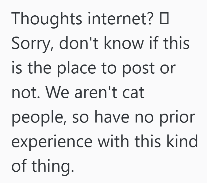 Thoughts internet? ☐ Sorry, don't know if this is the place to post or not. We aren't cat people, so have no prior experience with this kind of thing.